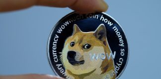 Dogecoin Worth To $24? Analyst Says No One Will Consider It Till It Occurs