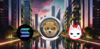 Solana Value Surges Over $170, Dogen and MEW Put together to Comply with Up