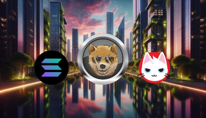 Solana Value Surges Over $170, Dogen and MEW Put together to Comply with Up