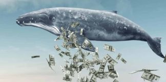Dormant Bitcoin Whale: 749 BTC Awakens After 12 Years Dormant Bitcoin Whale: 749 BTC Awakens After 12 Years