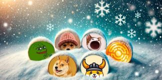 Winter Prep: Meme Cash to Enhance Your Price range This Season