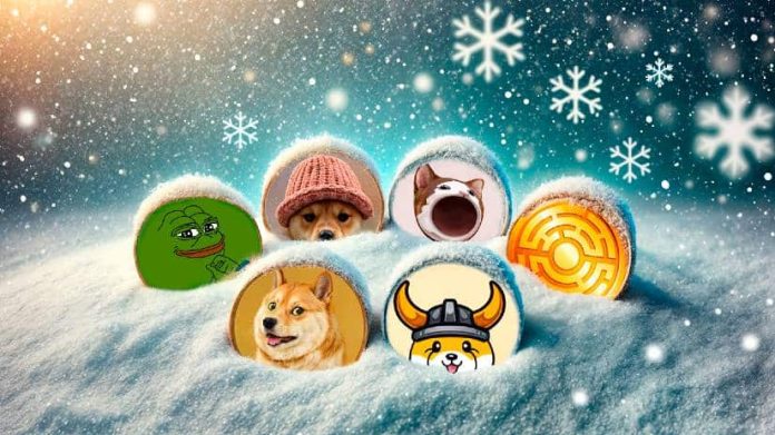 Winter Prep: Meme Cash to Enhance Your Price range This Season