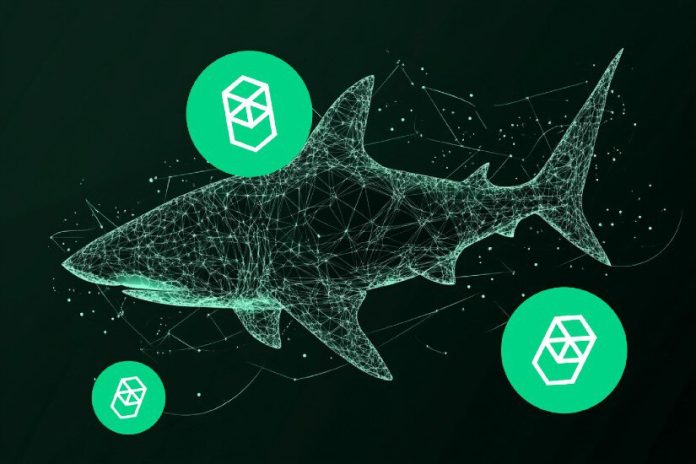 Solana and Fantom Buyers Are Eyeing This New Crypto With 100x Potential Set To Revolutionize Cross-Chain Funds