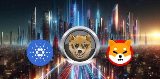Cardano Worth Prediction: 2 Rivals Gaining Traction as ADA Slips Down