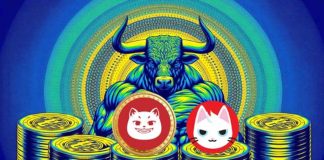 MEW’s Loopy Cousin? Uncover the New Meme Coin That Promise 700% Simply Throughout Presale