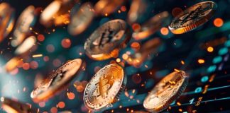 Prime Altcoins for Crypto Bull Run: November’s Finest Cryptos for Maximised Returns