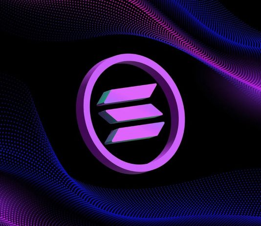 Solana Consumer Base Skyrockets To Over 123 Million, Using The Memecoin Wave