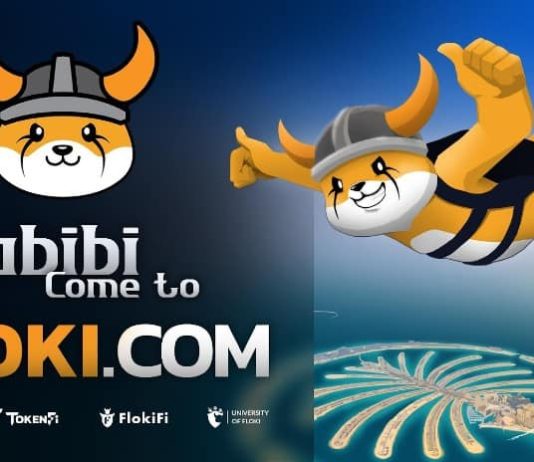 FLOKI Pronounces Dubai Takeover with WAFI Mall Marketing campaign