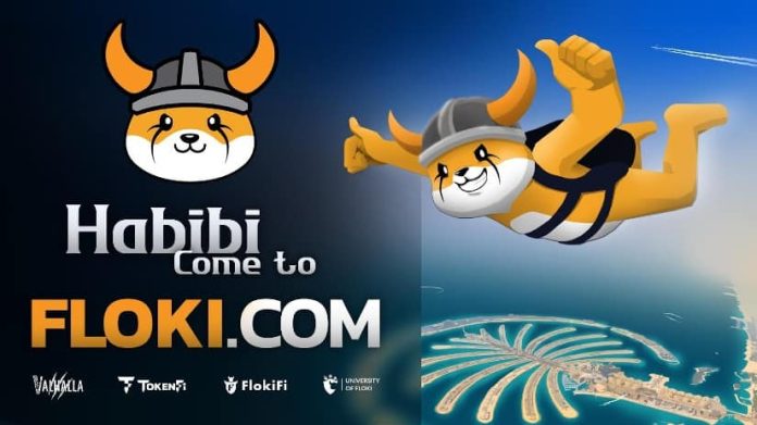 FLOKI Pronounces Dubai Takeover with WAFI Mall Marketing campaign