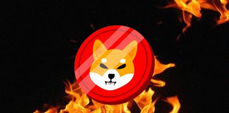 Shiba Inu Burn Price Ignites 3,674% On Election Day, Will SHIB Transfer With Dogecoin Worth To New ATH? Shiba Inu Burn Price Ignites 3,674% On Election Day, Will SHIB Transfer With Dogecoin Worth To New ATH?