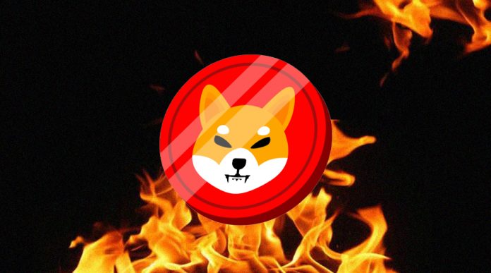 Shiba Inu Burn Price Ignites 3,674% On Election Day, Will SHIB Transfer With Dogecoin Worth To New ATH?