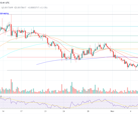 Not Dogecoin However This Altcoin Is the Finest Choose Put up-Trump Win, Says Crypto CEO