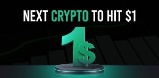 Subsequent Crypto to Hit $1: DOGE, 888, or a Darkish Horse?