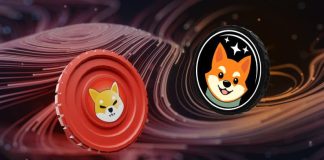 Can Shiba Inu Coin Attain $1 By The Finish of 2024? Can Shiba Inu Coin Attain $1 By The Finish of 2024?