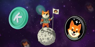 Dogecoin Worth Prediction: How The Presidential Election Affected This Meme Coin