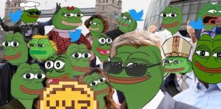 Trump’s Victory Might Sign Altcoin Season Across the Nook – Uncover 5 Prime Cash to Experience the Wave