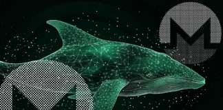 DOGE Not Slowing Down Anytime Quickly! XLM Worth Rises, Drawing Investor Curiosity