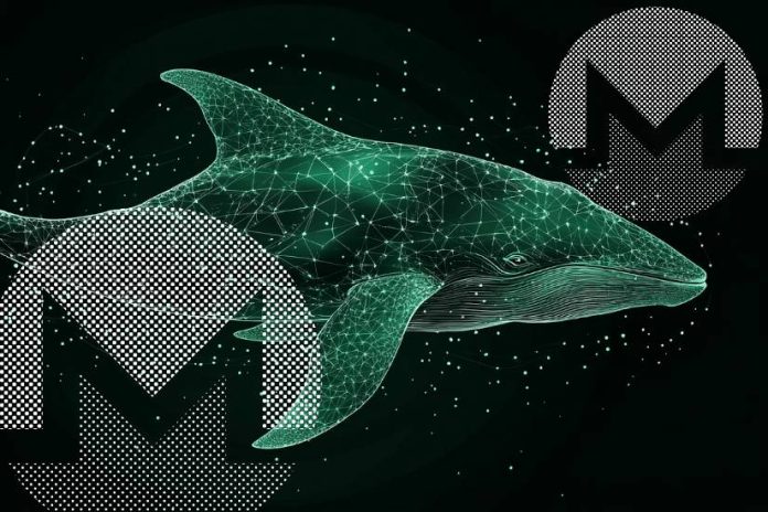 DOGE Not Slowing Down Anytime Quickly! XLM Worth Rises, Drawing Investor Curiosity