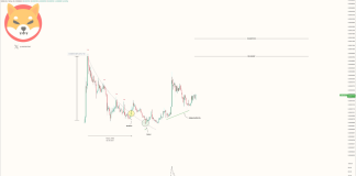 Will Shiba Inu Worth Leap Over 300%? This Analyst Thinks So