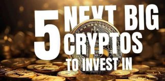  Subsequent Huge Crypto to Make investments In for 2024 [x100 Coins List]