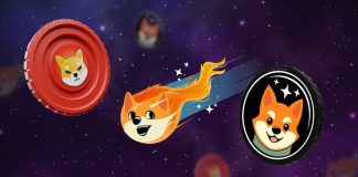BONK Coin’s Worth is Predicted to Soar In The Upcoming Bull Run – Can Shiba Galaxy Comply with Alongside?