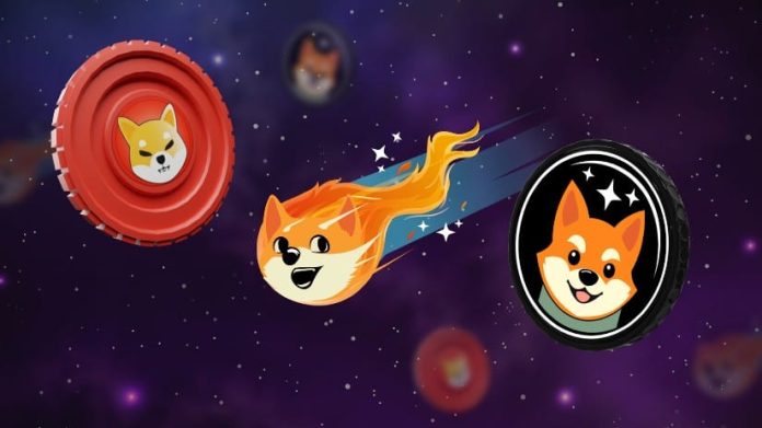 BONK Coin’s Worth is Predicted to Soar In The Upcoming Bull Run – Can Shiba Galaxy Comply with Alongside?