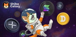 Donald Trump’s Victory Sparks a 40% Rise in Dogecoin Millionaires – Is Shiba Galaxy the Subsequent Hidden Gem?