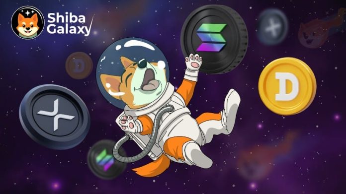 Donald Trump’s Victory Sparks a 40% Rise in Dogecoin Millionaires – Is Shiba Galaxy the Subsequent Hidden Gem?