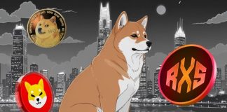 $600 in This Token May Attain $100,000 within the Subsequent 10 Weeks and its Not Dogecoin Or Shiba Inu $600 in This Token May Attain $100,000 within the Subsequent 10 Weeks and its Not Dogecoin Or Shiba Inu