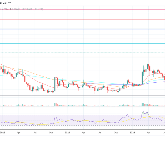 Dogecoin Outperforms Bitcoin: Bloomberg Knowledgeable Explains Why
