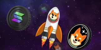 Shiba Inu’s Bullish Surge Ignites Investor Confidence – The Breakthrough Information Shiba Galaxy Wanted!