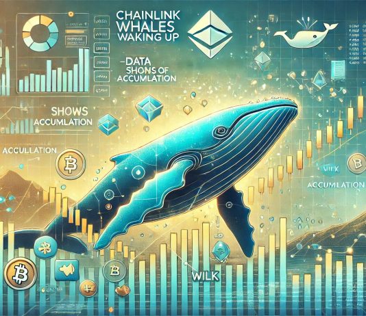 Chainlink Whales Waking Up – Knowledge Exhibits Indicators Of Accumulation