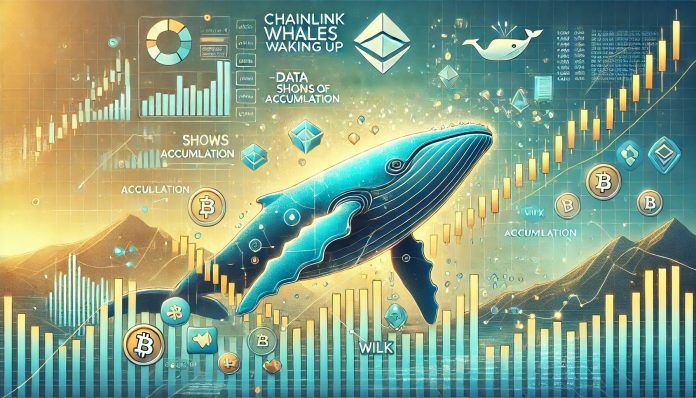 Chainlink Whales Waking Up – Knowledge Exhibits Indicators Of Accumulation