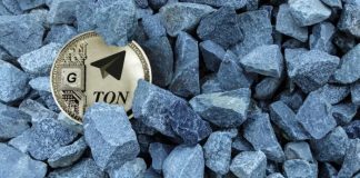 Toncoin Liquidity and Person Exercise Reviewed by Analyst: Insights on Market Impacts