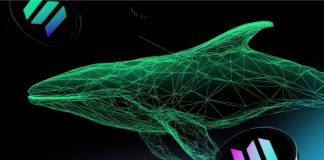 Solana’s Worth Surge Mirrored by Newcomer Lunex: Might this be DeFi Reborn?
