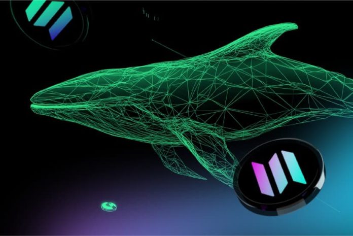 Solana’s Worth Surge Mirrored by Newcomer Lunex: Might this be DeFi Reborn?