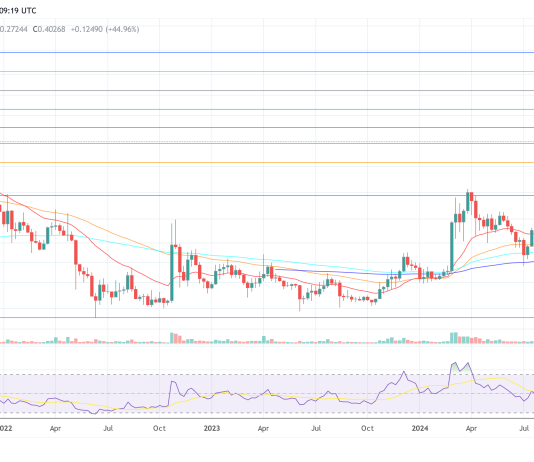Purchase Dogecoin Now Or Wait? Analyst Factors To Key Technical Indicator