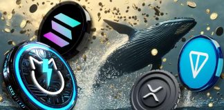 Crypto Whales’ Secrets and techniques Altcoin Picks: Why JetBolt Is Surpassing Solana, XRP, and Toncoin