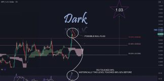 XRP Worth Will Escalate To $1.03 This Week If This Occurs: Analyst