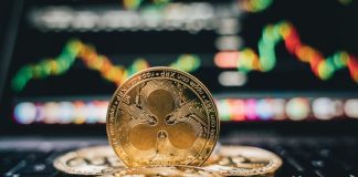 Ripple (XRP) Information: Trump’s Victory A Important Second For XRP’s Case, Sui Holds Sturdy At $3, As New Altcoin Opens Its Token Farming!