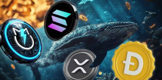 What Crypto Whales Are Making an attempt to Preserve Secret About XRP, Solana, JetBolt, and Dogecoin What Crypto Whales Are Making an attempt to Preserve Secret About XRP, Solana, JetBolt, and Dogecoin