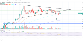 How Low Can Dogecoin Go Earlier than Rallying Once more? Skilled Forecast