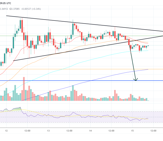 How Low Can Dogecoin Go Earlier than Rallying Once more? Skilled Forecast