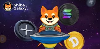Dogecoin Hits 2024 File Excessive Following Main Information from Trump: Meme Cash Are Again in Focus Dogecoin Hits 2024 File Excessive Following Main Information from Trump: Meme Cash Are Again in Focus