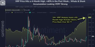 Why Is XRP Worth Up Right this moment? Key Causes Defined