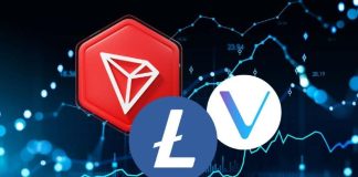 Because the Market Pauses Its Rise, Altcoin Shopping for Alternatives Emerge—Highlight on TRX, VET, and LTC