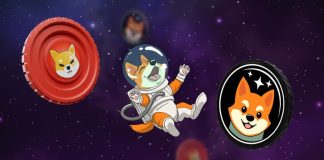Will Shiba Inu Attain $1 & One other SHIB By-product Grabbing Consideration 
