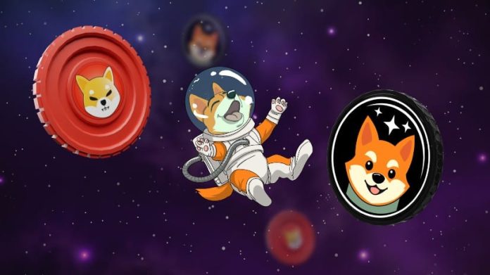 Will Shiba Inu Attain $1 & One other SHIB By-product Grabbing Consideration 