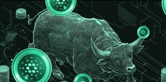Cardano or Dogecoin? Battle for Prime Crypto Funding Heats Up – Who Will Reign Supreme?