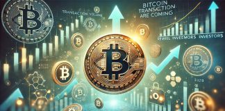Bitcoin Demand Outpaces Provide – On-Chain Metrics Reveal Low Vendor Quantity
